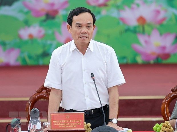 Phó Thủ tướng Chính phủ Trần Lưu Quang