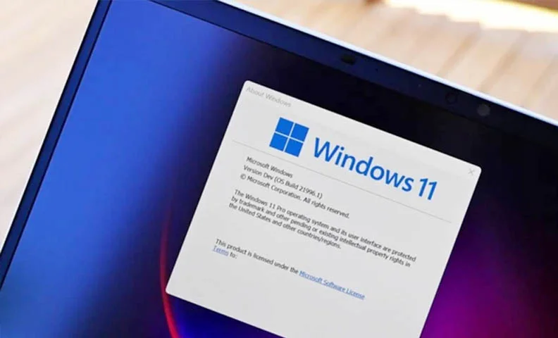 Windows 11