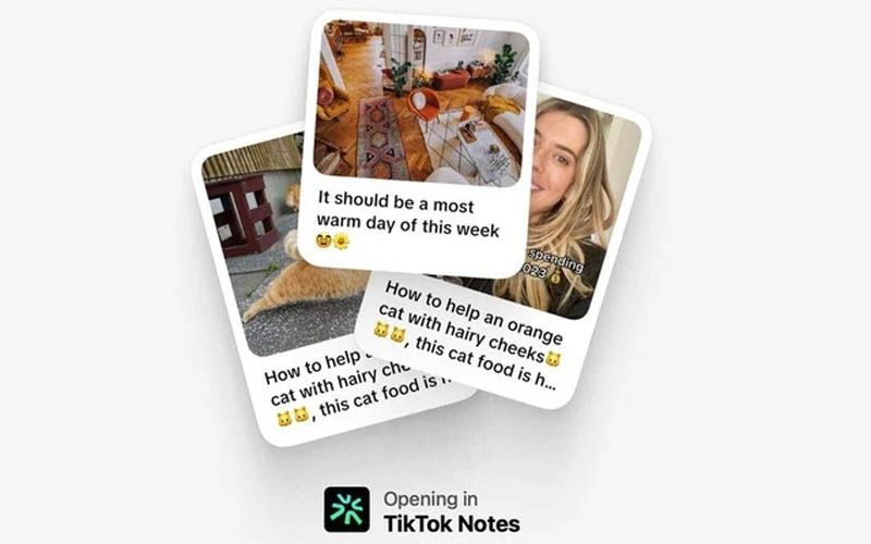 TikTok Notes